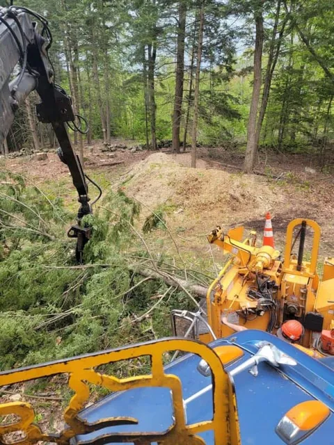 work photo from webstertree.net