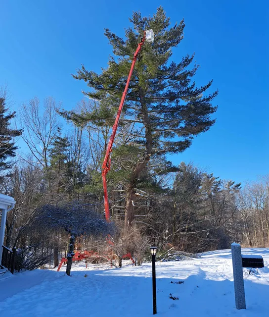 New England Tree Service crew and equipment