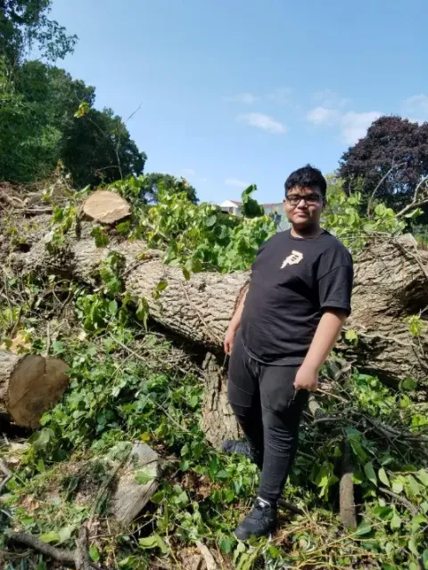 work photo from treeservice-lynn.com