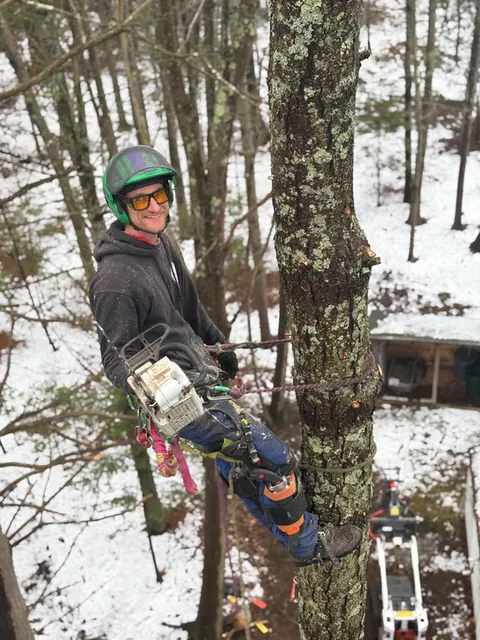 work photo from dirigotreeservice.com