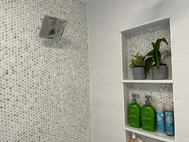 A bathroom with a shower , shelves , and potted plants.
