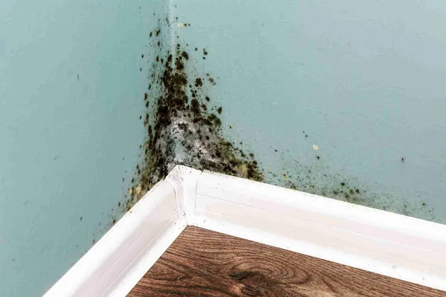 work photo from deliogeneralcontractor.com