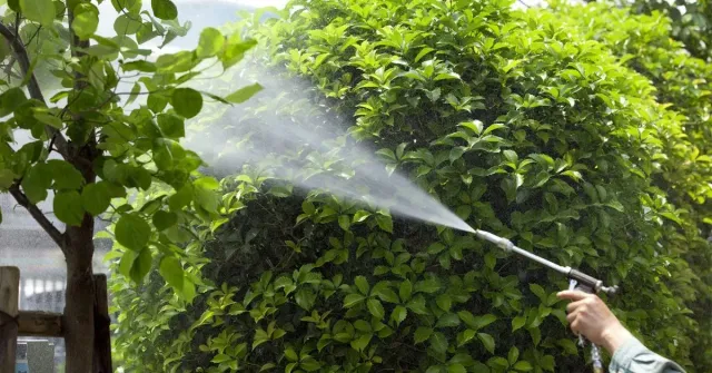 Tree Spray