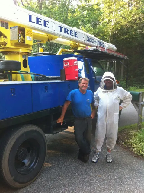 Lee Tree Co work photo