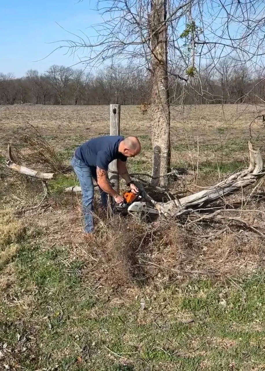 Tree trimming with chainsaw