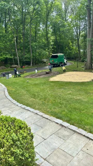 work photo from lifetreeservicesllc.com