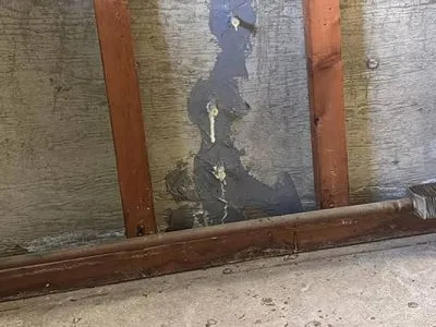 Foundation Crack Repair Services