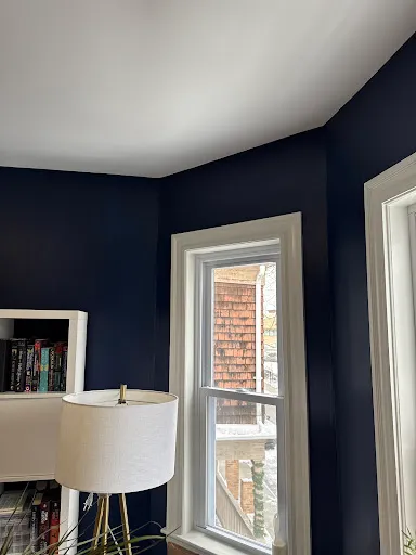 Luna's Painters work photo