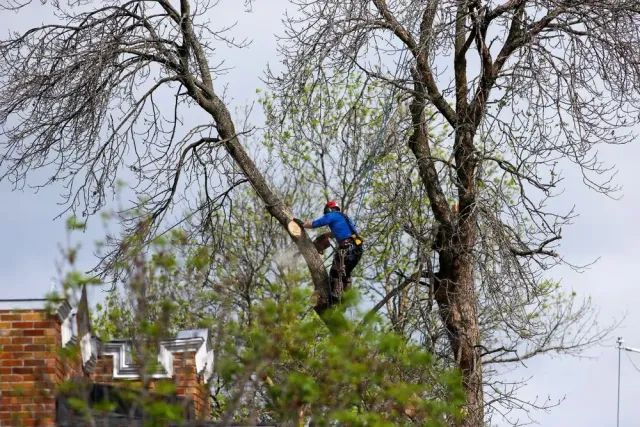 work photo from edgewoodtreeserviceri.com