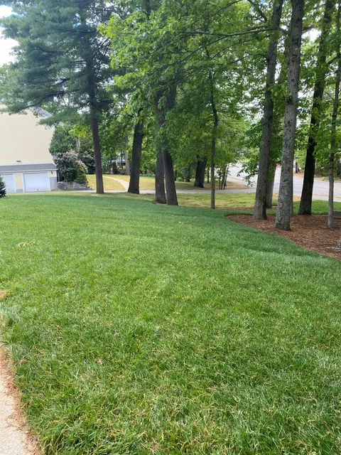 Residential lawn maintenance