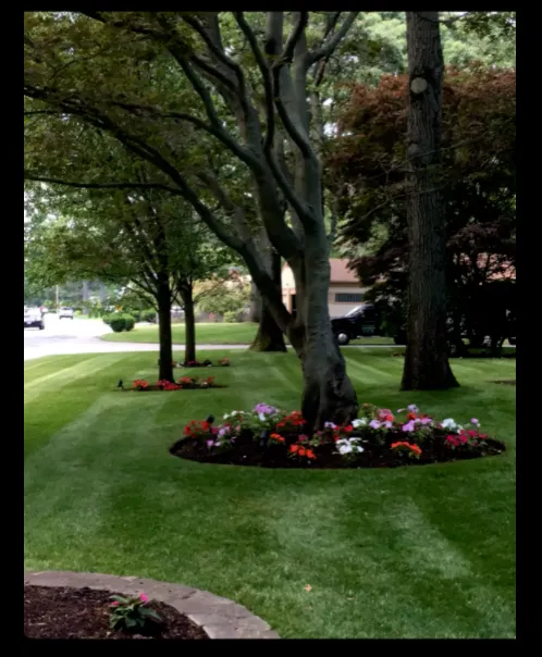 work photo from horizonlandscapingri.com