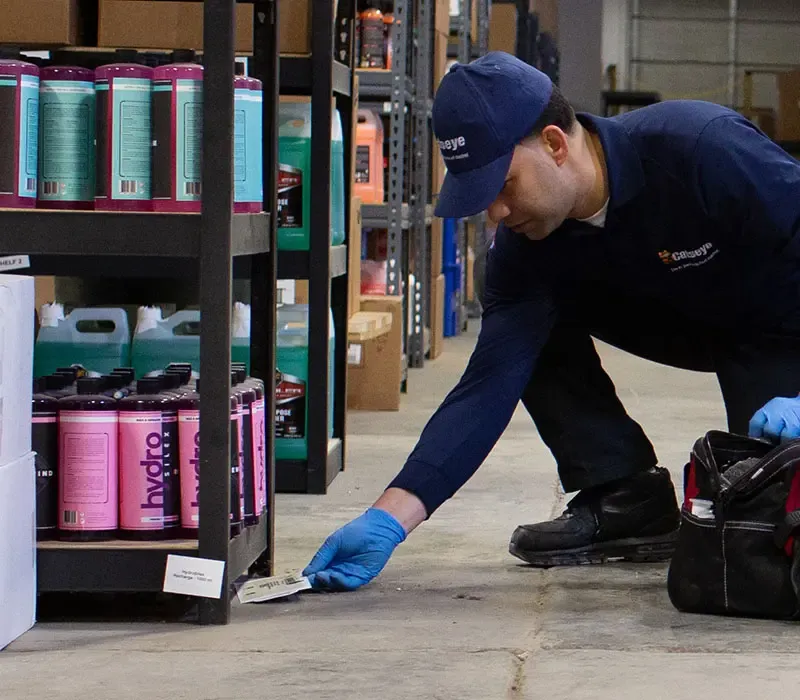 Catseye technician completing a commercial inspection in a warehouse for pests or damage