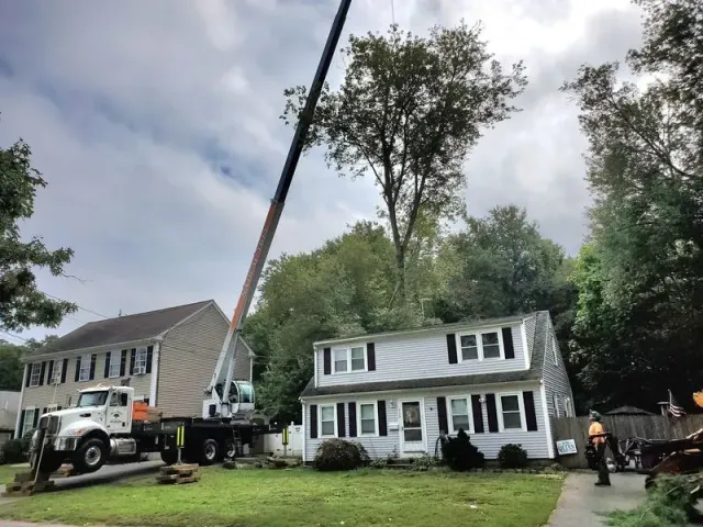 Crane lifting a tree beside a white house after storm damage, with utility trucks and workers nearby
