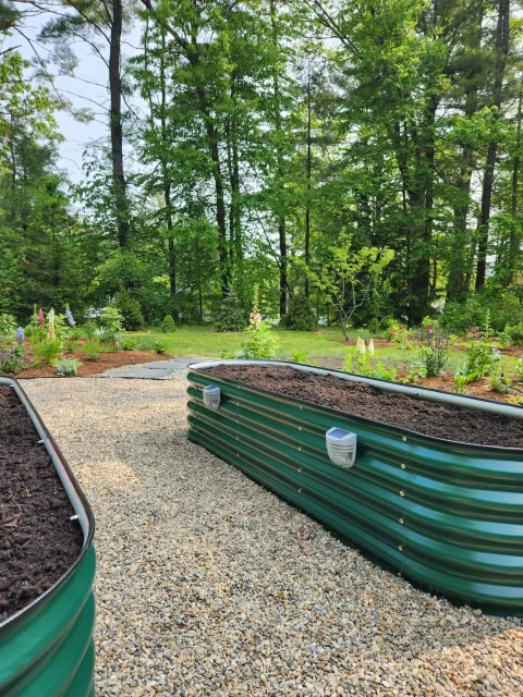 Edible landscaping, Easthampton Ma