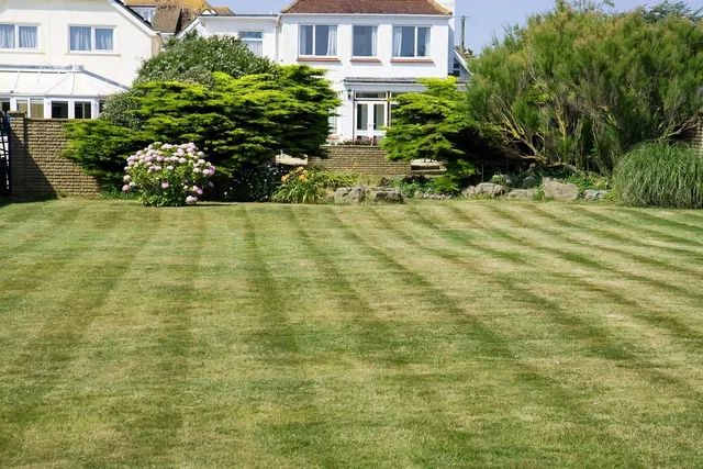 grass mowed