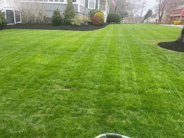 work photo from solutionlandscaping.net