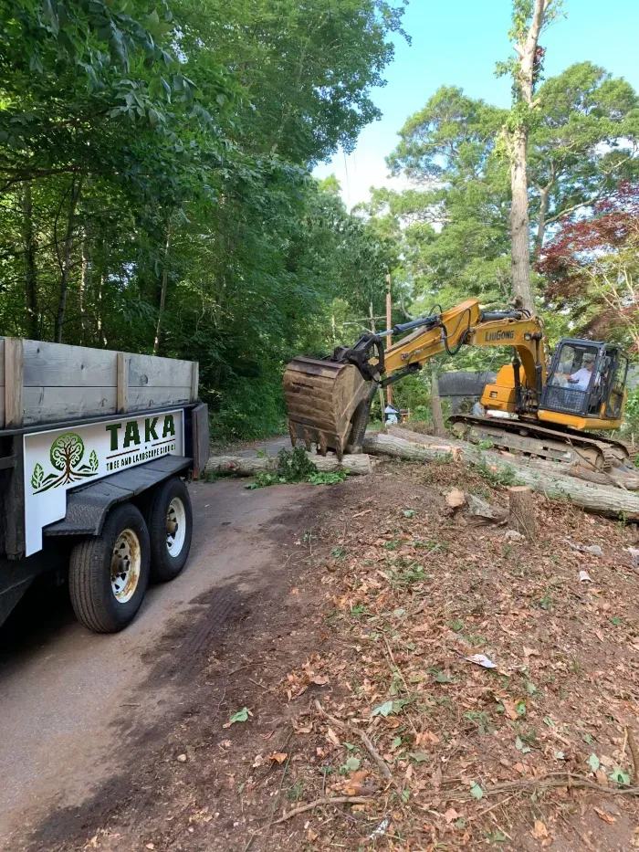 TAKA Tree Landscape Professional Tree Removal