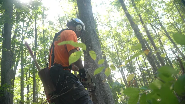 work photo from schmittlandscapingandtree.com