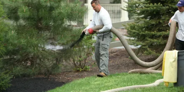 DelleChiaie Landscaping work photo
