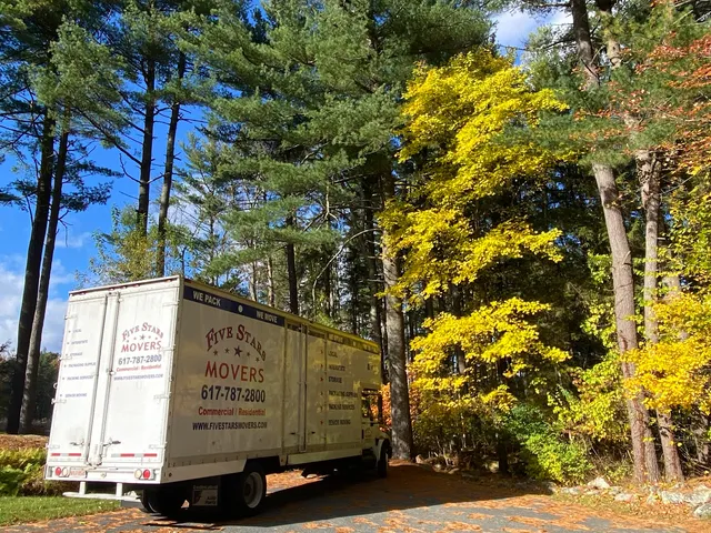 Five Stars Movers