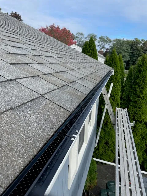 Northshore Gutter Cleaning