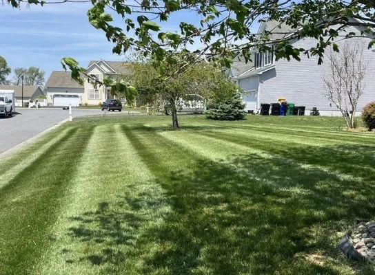 Greenchase Lawn Care researched project photo