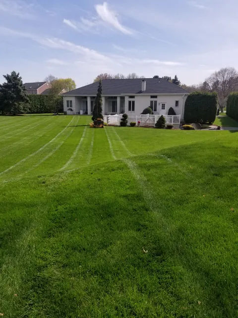 Freddys Landscaping work photo