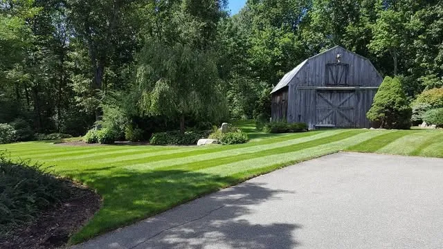 Sea of Green Lawn Care, LLC researched project photo