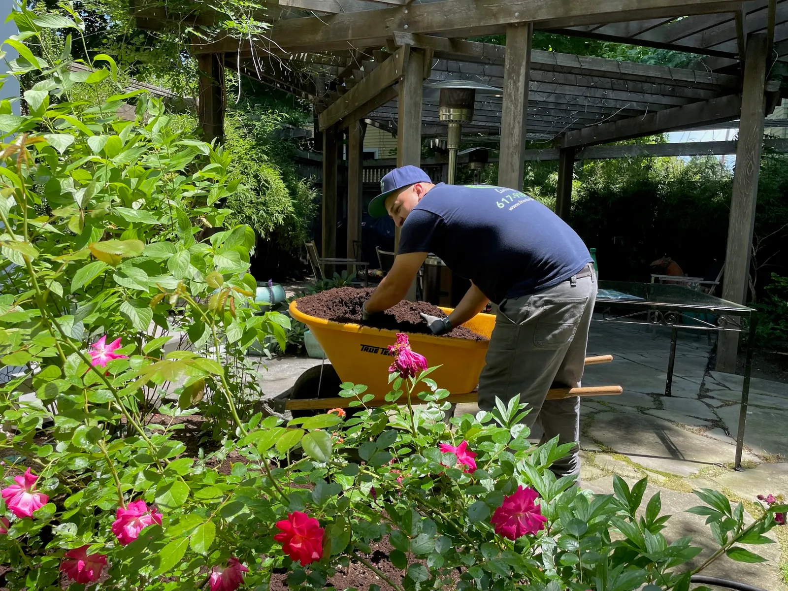 Keeping Flower Beds Healthy Through Boston’s Hottest, Driest Weeks!