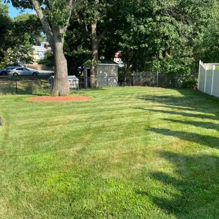 Denny's Fancy Landscape researched project photo