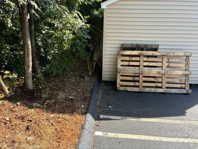 Curbside area after junk removal