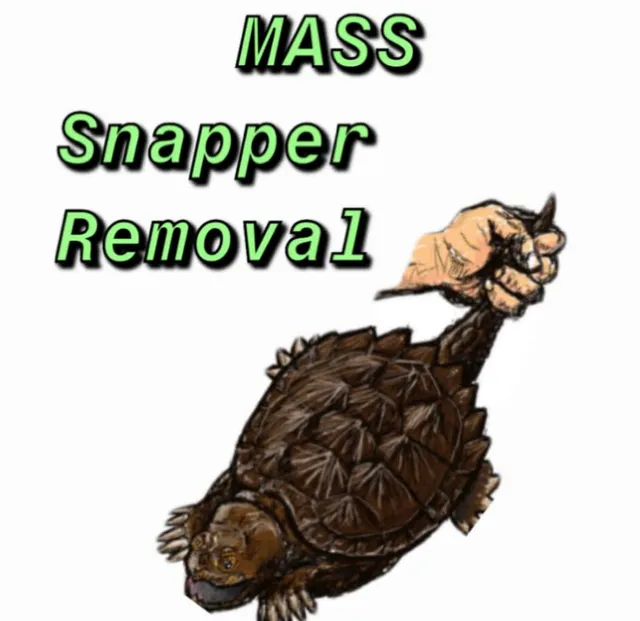 Mass Snapper Removal logo