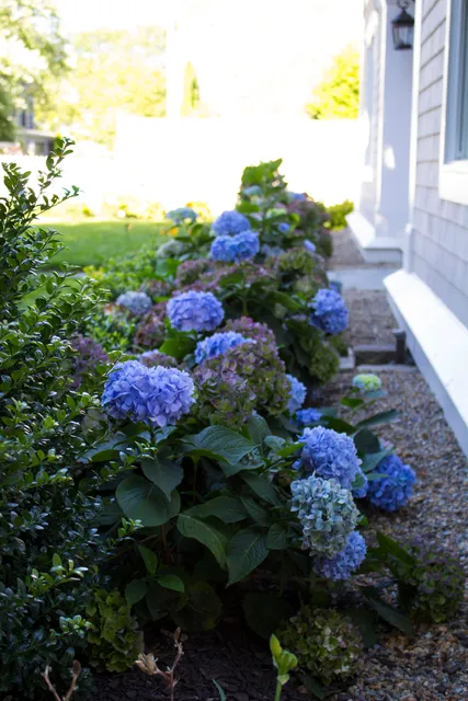 Langlois Landscapes LLC work photo