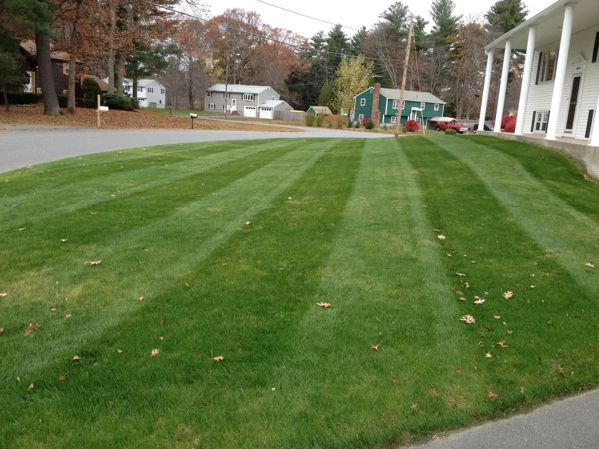 work photo from randalllandscaping.com