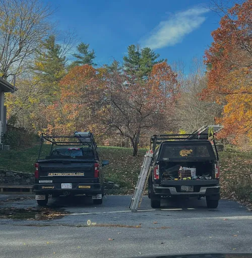 Critter Control Central, MA work photo