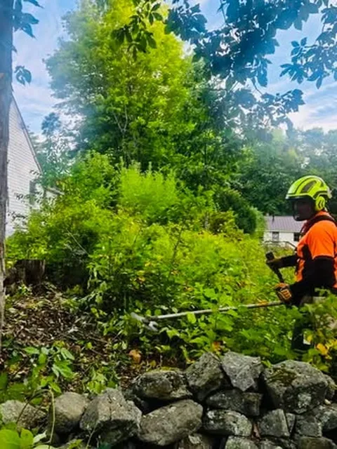 work photo from dcwoodservices.com