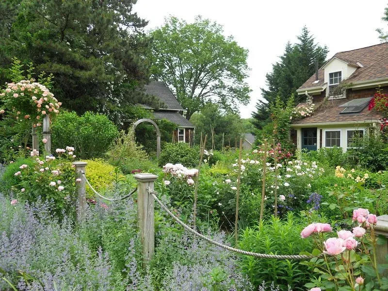 Cottage Garden