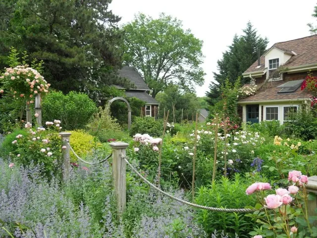 Cottage Garden