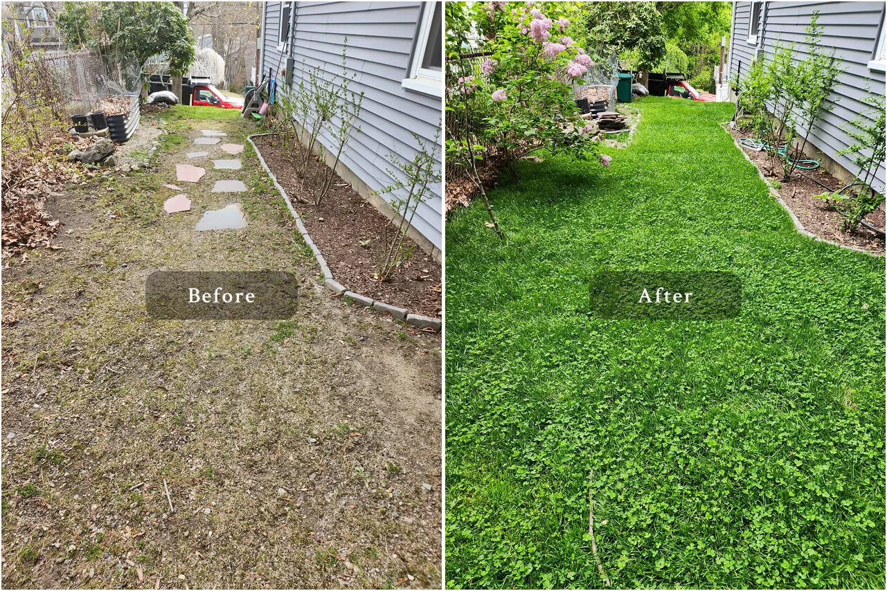 appleton st Landscaping