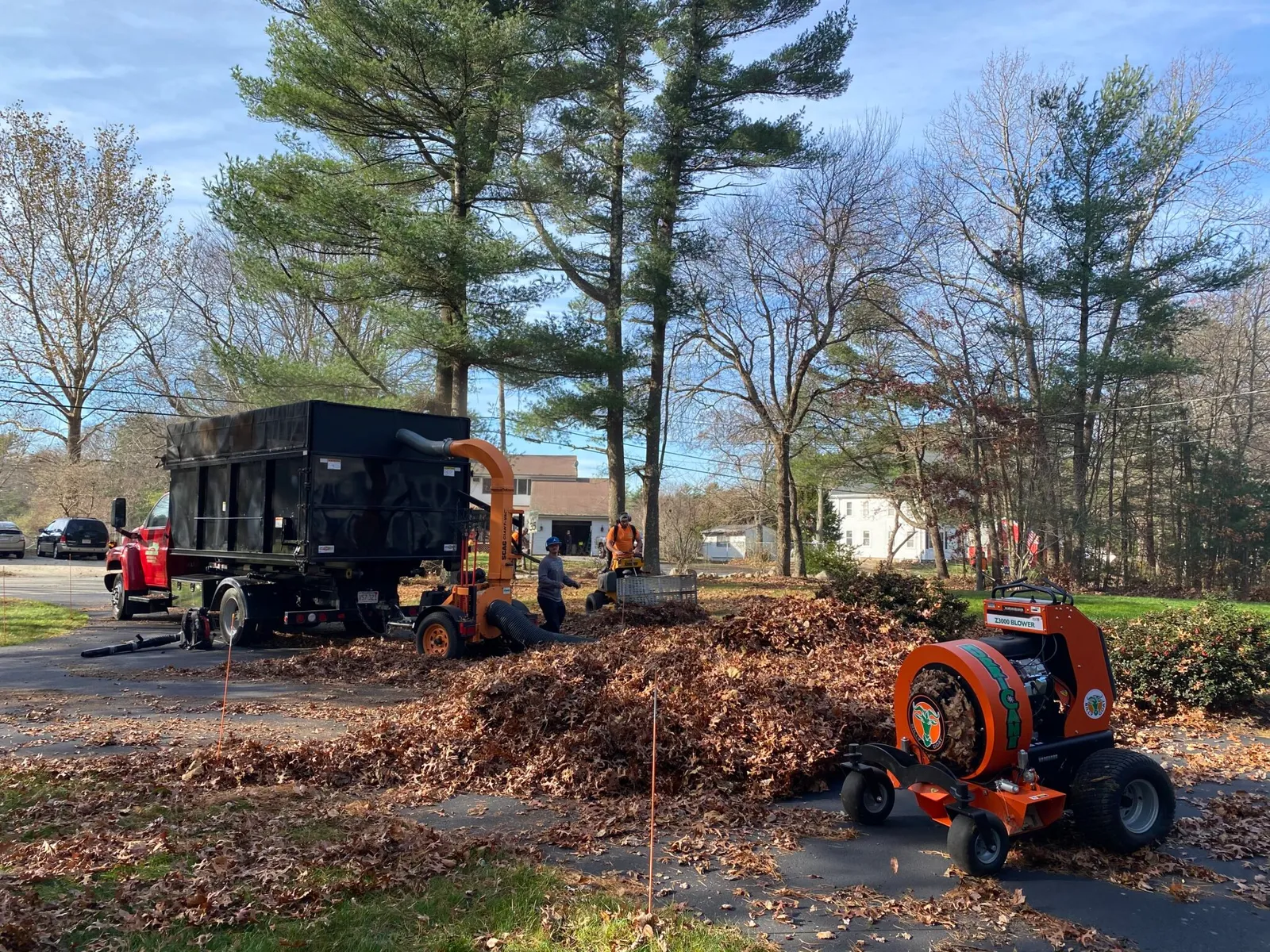 fall clean up