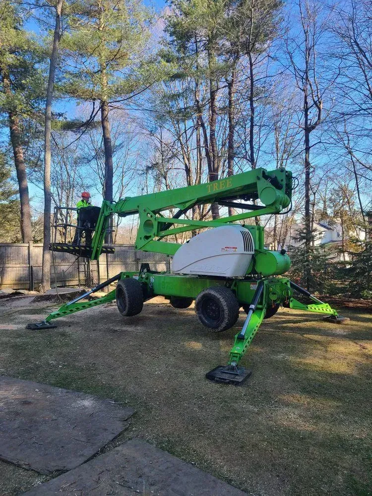Green boom lift parked on a driveway with a worker in the basket, trees and blue sky behind.