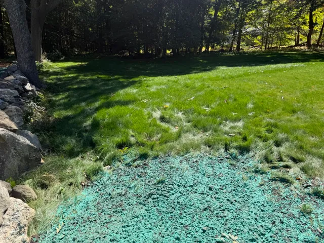 work photo from mrhydroseedlandscaping.com