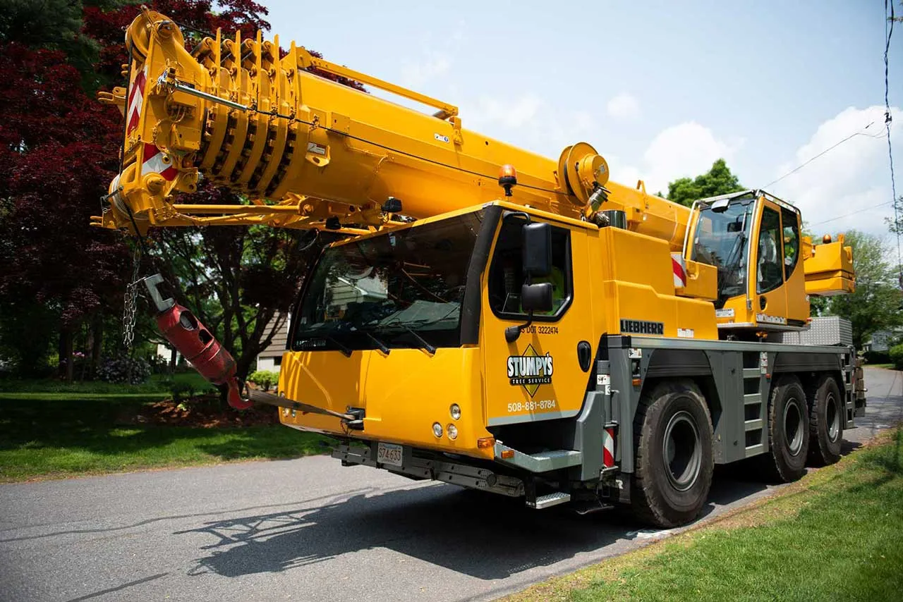 Stumpy's Tree Service - Ashland, MA