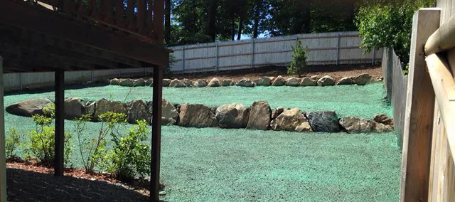 Hydroseeding
