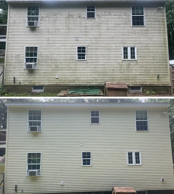 603 Pressure Washing work photo