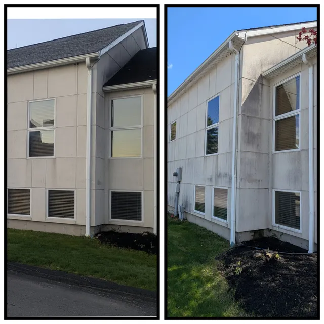 Recent pressure washing job