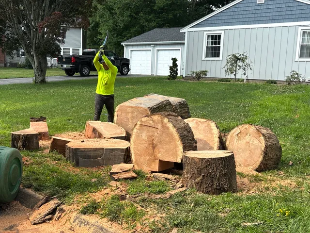 D & A Landscaping Services work photo