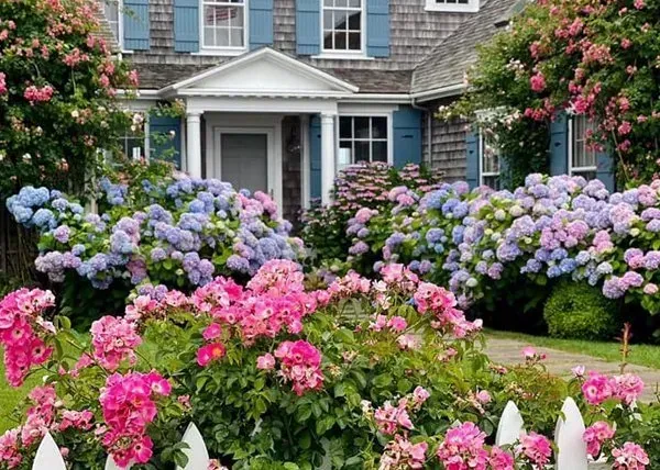 Flower-filled garden in front of a blue house with white trim and pink and purple hydrangeas