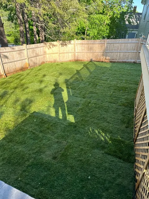 K J A S Tree Services verified work photo