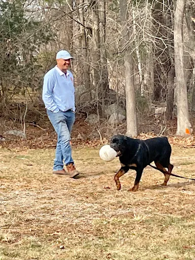 Paw Stop Fences work photo
